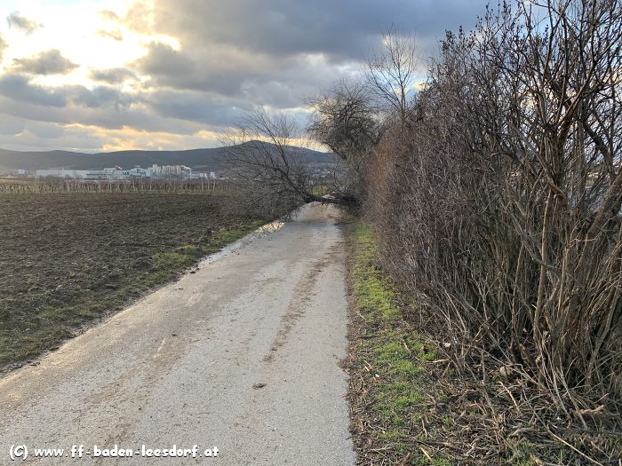 By FF-Baden-Leesdorf